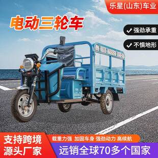 跨境自卸三轮电瓶车大功率摆摊拉货载重王山区爬坡农用电动三轮车