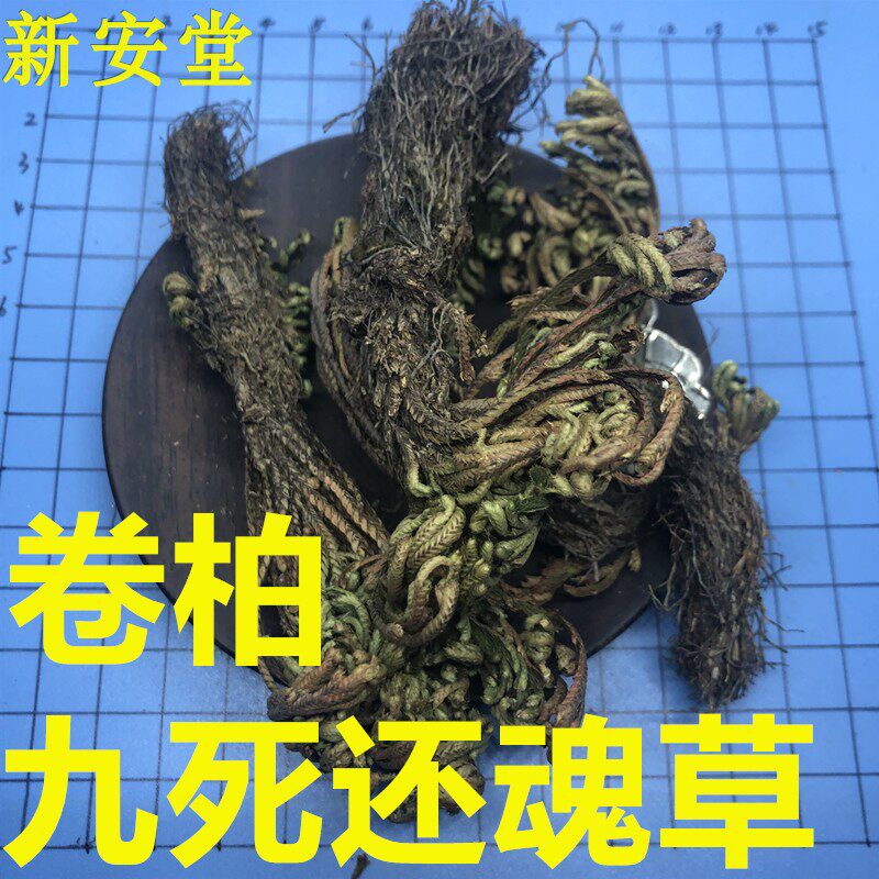 卷柏中药材 九死还魂草 包邮 