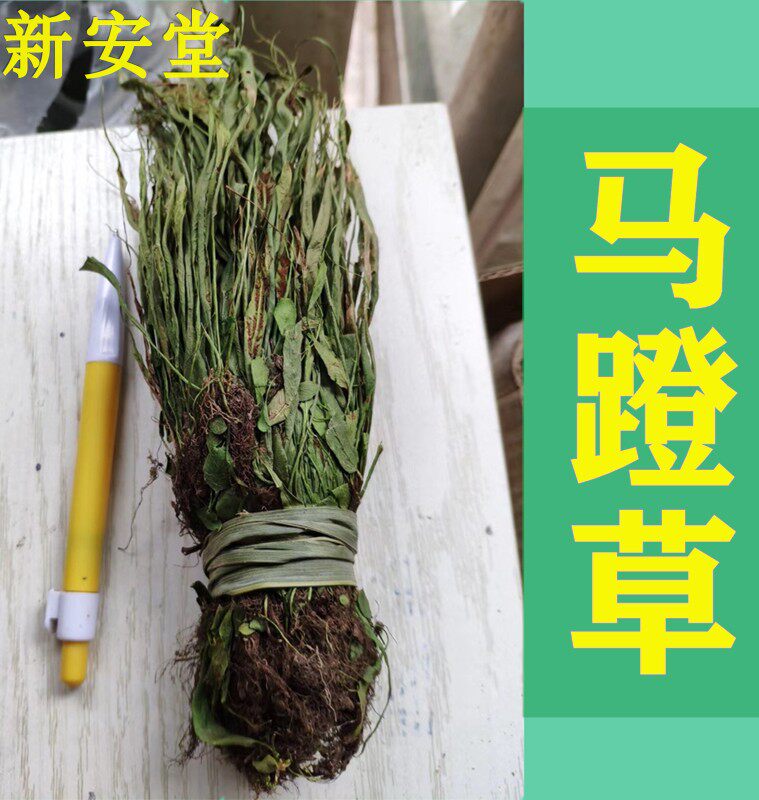 中药材 马蹬草 250克 包邮 过桥草 还阳草 马登草 马瞪草药材名贵