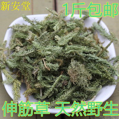 益智仁伸筋草包邮