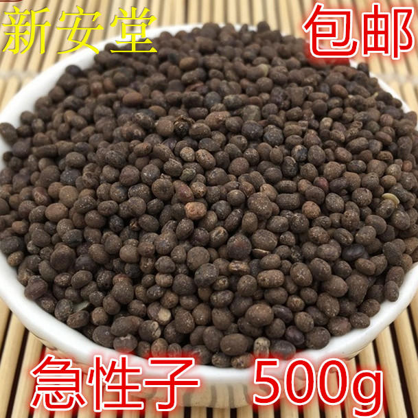 中药材 急性子500克包邮 凤仙花种子 指甲花种子 凤仙透骨草种子