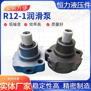 R12 1润滑泵车床润滑齿轮泵铸铁机床油泵双向润滑油泵