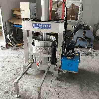 LY-300液压榨汁机，食品压榨神器，减少废料，提高产量！,清洗/食品/商业设备,其他食品加工设备,淘宝优惠券,粉丝福利购,淘宝优惠卷