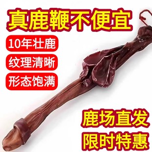 吉林长白山梅花鹿鹿鞭干整根整枝新鲜正品 男性泡酒料鹿茸片丸膏