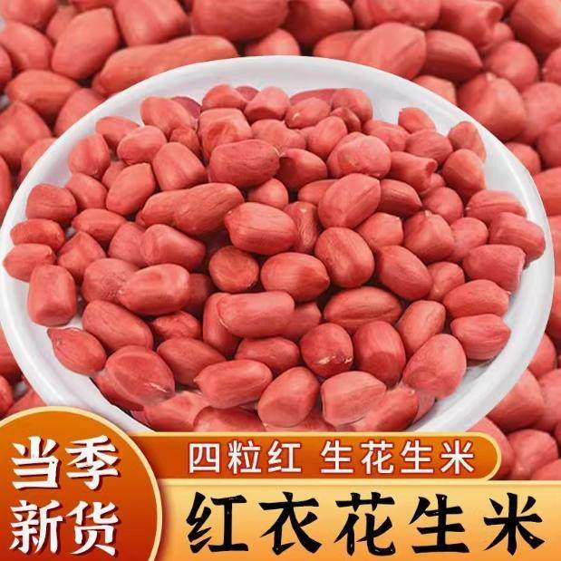 新货特产花生米生新500g大罐装红皮花生四粒红花生米不带壳东北,零食/坚果/特产,花生,淘宝优惠券,粉丝福利购,淘宝优惠卷