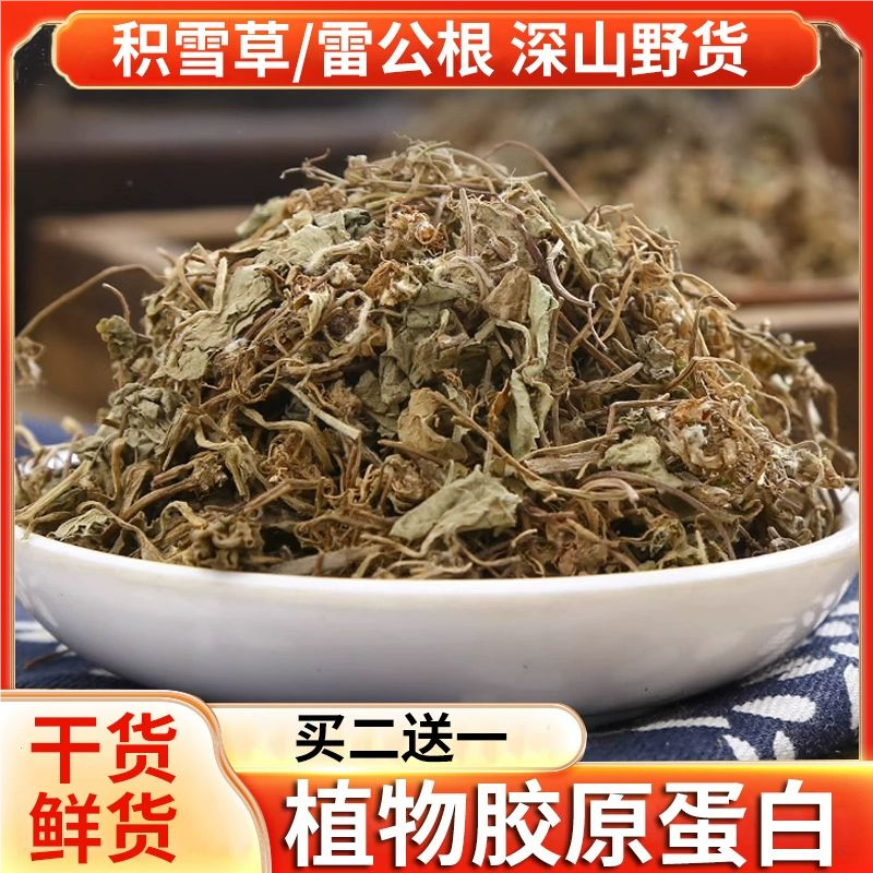 积雪草中药材新鲜雷公根凉茶马蹄草干货灯盏菜泡水喝非野生崩大碗