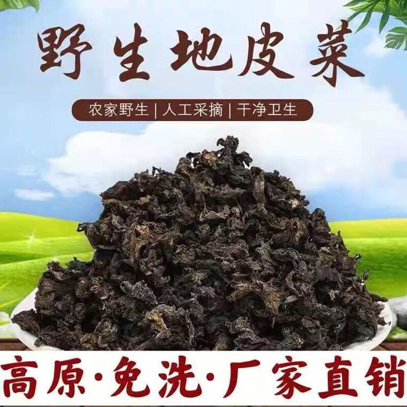 野生地皮菜500g甘肃土特产地软地木耳地衣地达菜新干货免洗