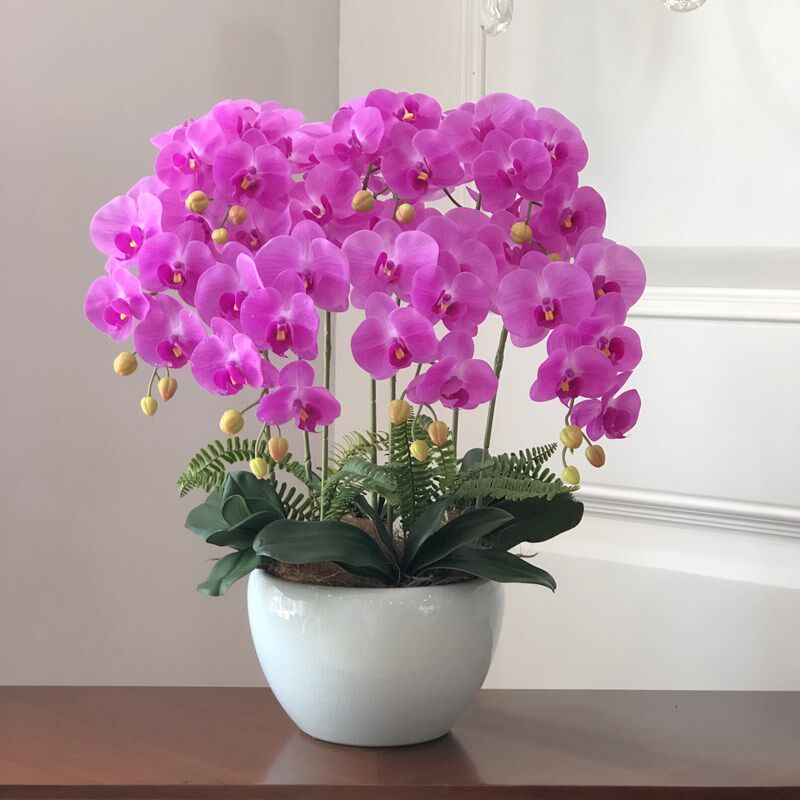 蝴蝶兰花仿真花艺盆栽装假花玄关简约新中式装饰