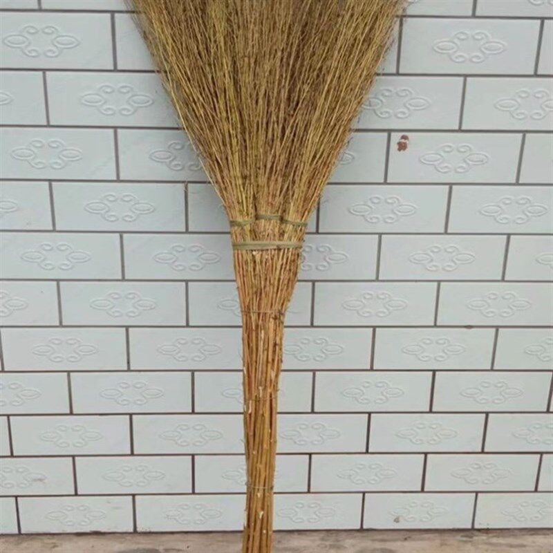 铁树扫把耐用扫把铁扫帚植物铁树编清洁扫地户外街厂区仓库