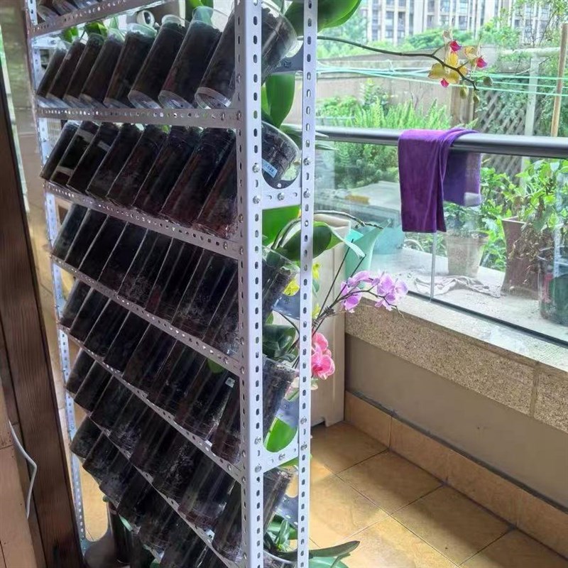 蝴蝶兰花架靠墙小货架自由组合材角铁条组装材孔三角铁