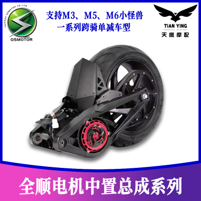 全顺72V2000W3000W中置电机总成(电镀版)电动车电摩电机 万仕龙