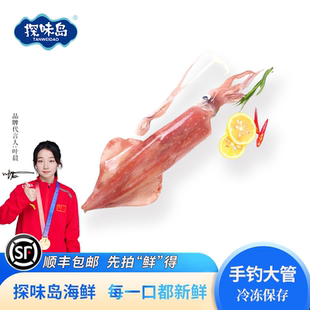 东山岛手钓大管火箭鱿鱼新鲜枪乌贼探味岛鱿鱼鲜活水产品刺身品质
