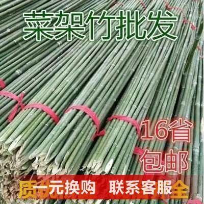 竹竿菜园搭架蔬菜豆角黄瓜番茄爬藤架园庭院家用架子小竹子细竹杆