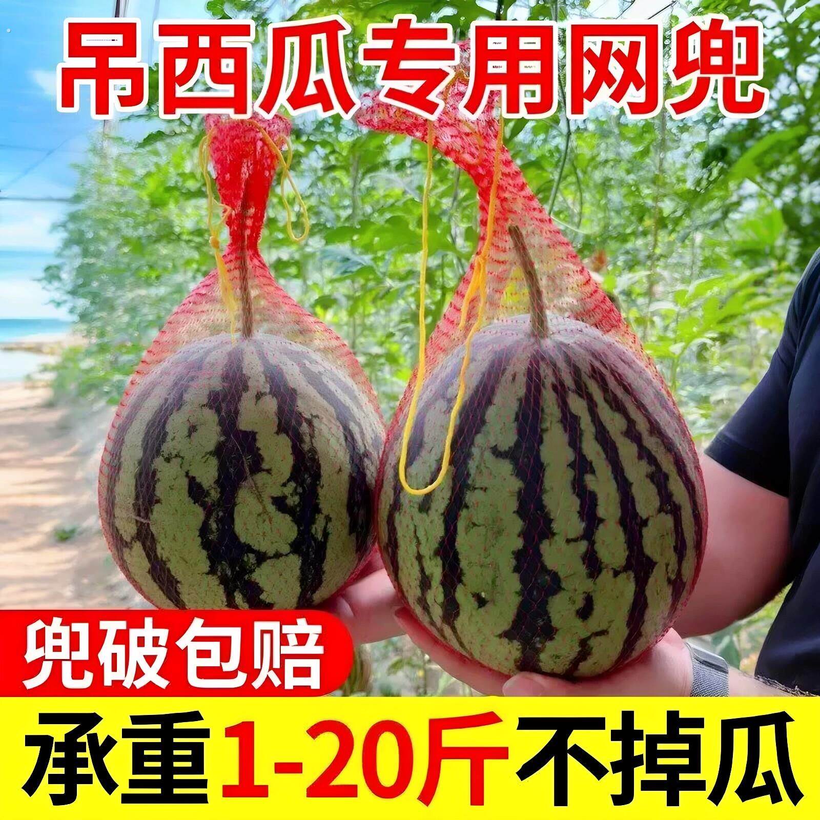 西瓜网兜大棚加厚吊西瓜套袋专用吊瓜网袋哈密瓜带绳挂瓜塑料防虫
