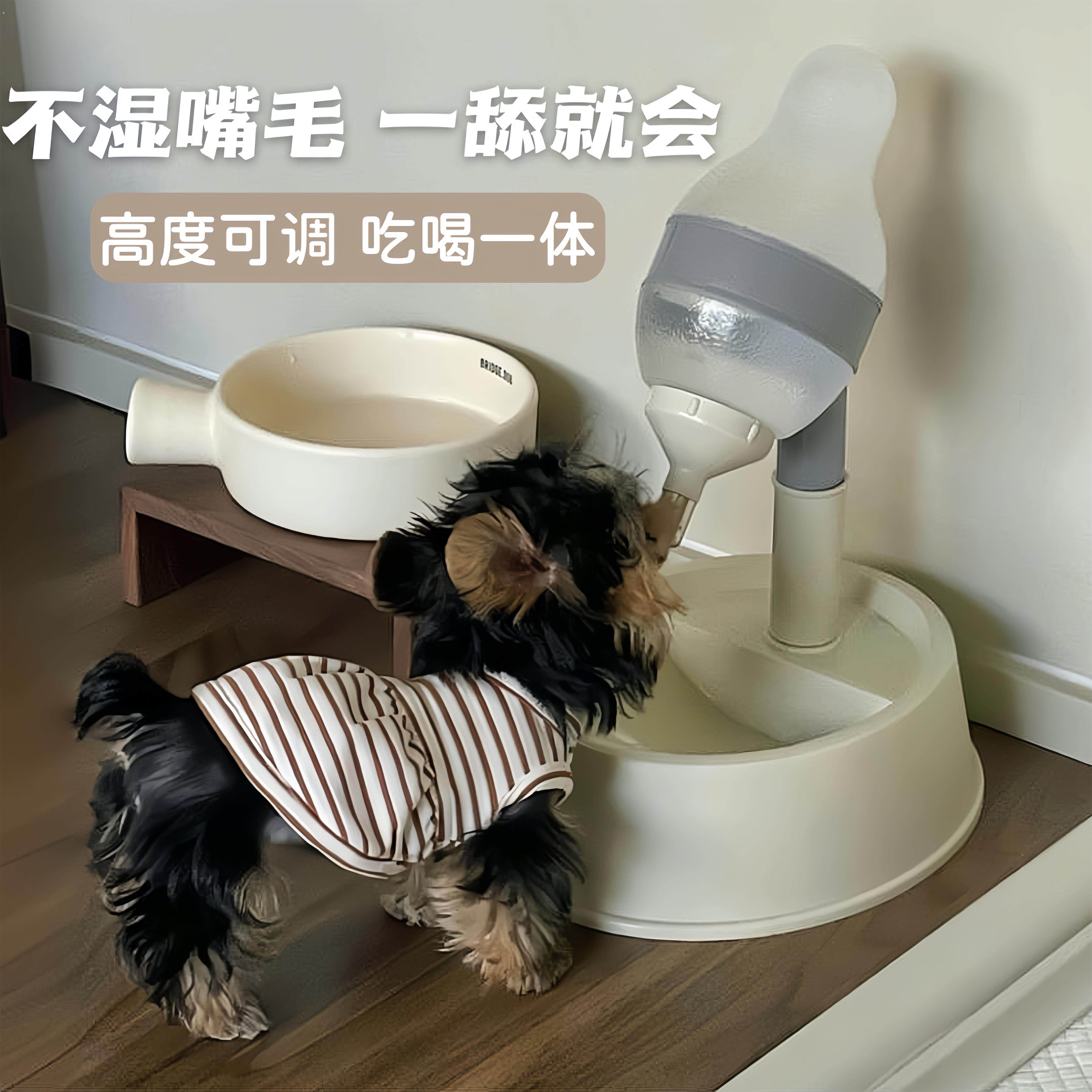 狗狗喝水器不湿嘴挂式可调节悬挂饮水机喂水水壶食碗泰迪宠物用品