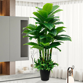室内假花室仿真绿植高端客厅大型落地玄关装 饰发财树造景