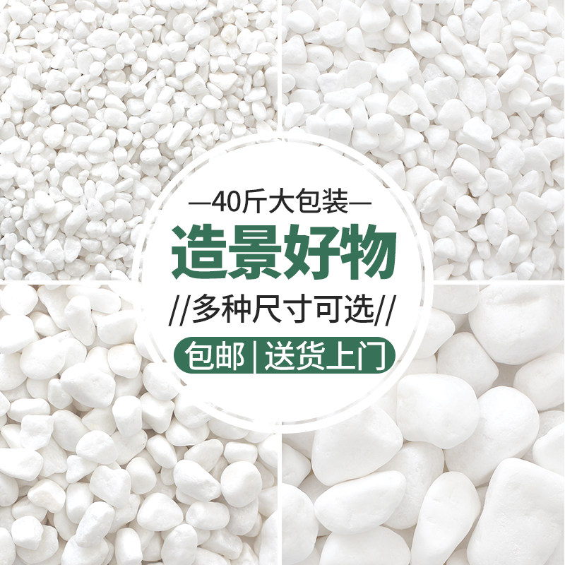 天然白石白玉石多肉园艺盆栽铺面造景庭院白色石头鹅卵石