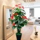 假树盆栽假花绿植塑料植物大型落地落地装 饰室内仿真红掌树 饰装