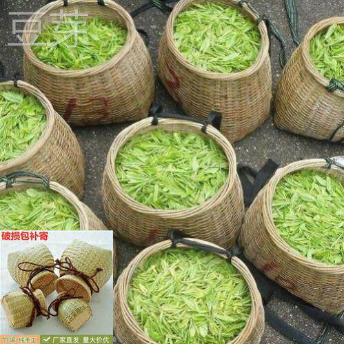 采茶叶的篮摘茶多功能蓝采摘工具小竹筐竹篓采茶娄的斜挎