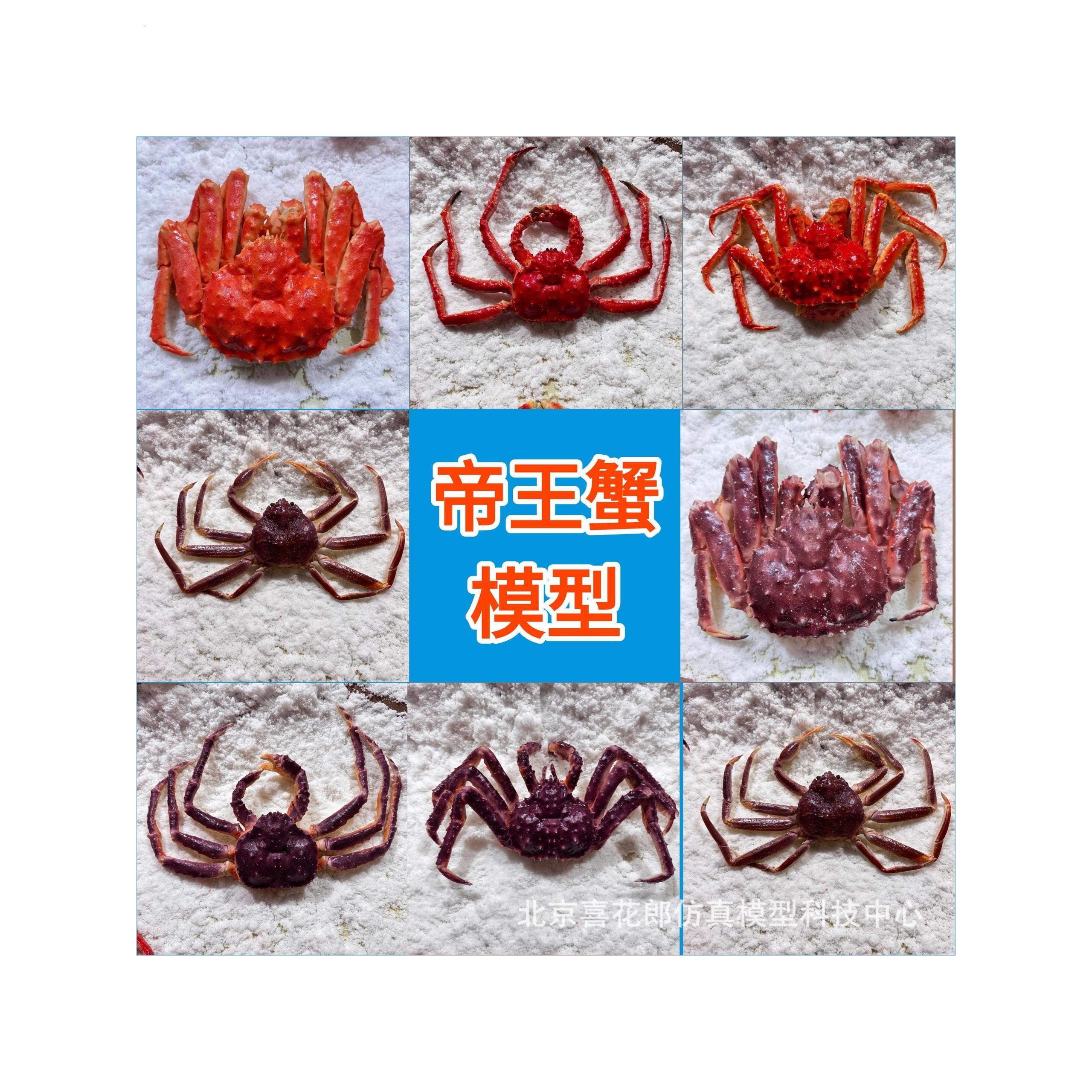 仿真帝王蟹模型海鲜食模冰台明档装饰摆件海产品销售展示支持定制
