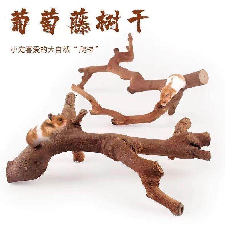 虎皮鹦鹉站杆鸟笼站杆玄风鸟站杆鹦鹦鹉爬架鹦鹉树枝鹦鹉拉屎站架