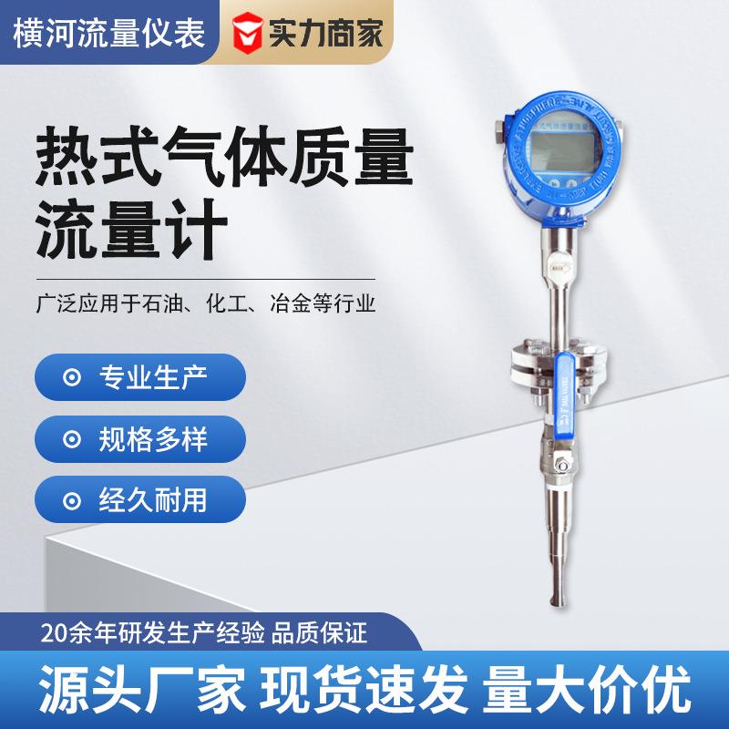插入式热式质量流量计防爆数显信号远传氮气压缩空气管道插入式