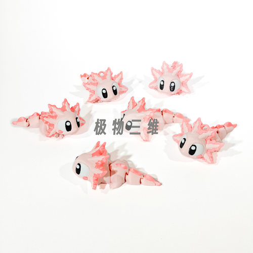 3D打印关节可动六角粉白龙蝾螈