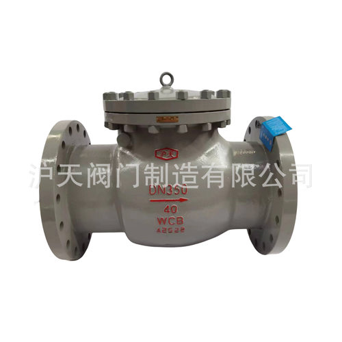 定制产品   沪天阀门旋启式止回阀H44H-40C