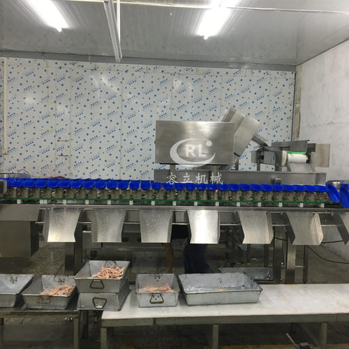 鲅鱼称重分选机连续式海鲜重量分级机大料盒鸡鸭鹅称重分级机