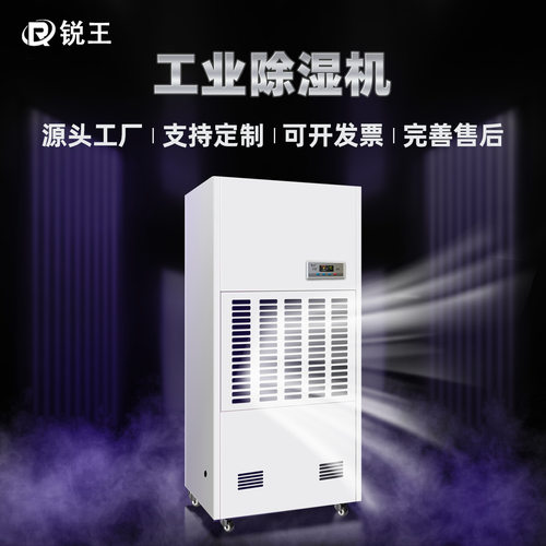 定制锐王工业除湿机抽湿机地下车库大棚车间工厂浴室大型除湿器