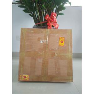 厂家1000mm大型菲尼尔菲涅尔聚焦透镜光伏太阳能集热高透射WL