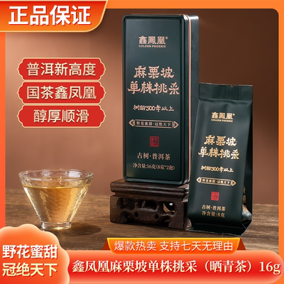 【鑫凤凰精选】2025年麻栗坡千年单株挑采生茶16g