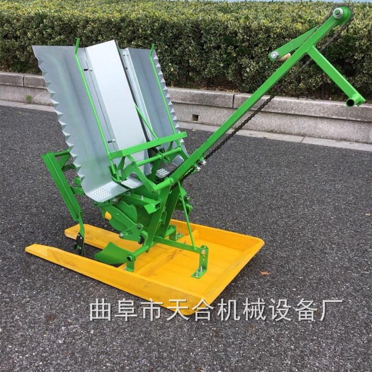 机动型插秧机禾苗DZM栽机独轮驱动船板秧插仿多形行水稻种植秧机