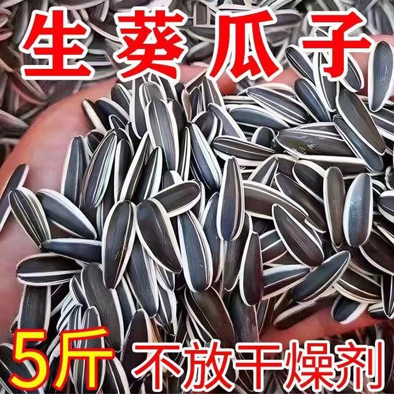 生瓜子葵花籽新货生熟可选大颗粒原味瓜子炒货散装坚果葵花子袋装