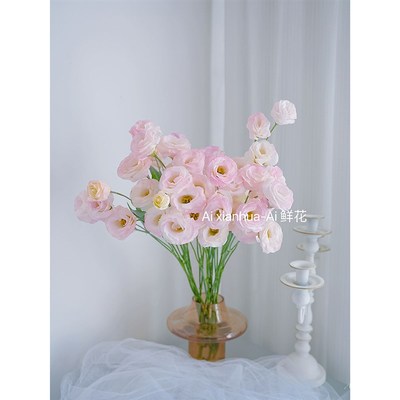 稀有温柔仙气嫩到心坎里仙女粉洋桔梗鲜花云南直发插花水培装饰