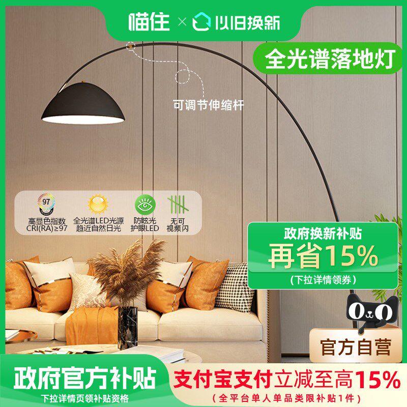 爱德朗全光谱钓鱼灯落地灯卧室地毯氛围灯客厅落地灯