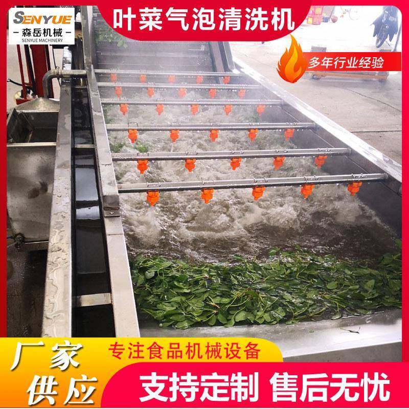 全自动木耳菜清洗机设备空心菜气泡清洗机商用大型果蔬气泡清洗线,清洗/食品/商业设备,其他食品加工设备,淘宝优惠券,粉丝福利购,淘宝优惠卷