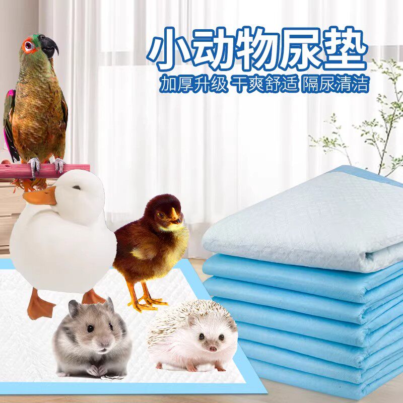 宠物尿垫仓鼠荷兰猪芦丁鸡隔尿垫