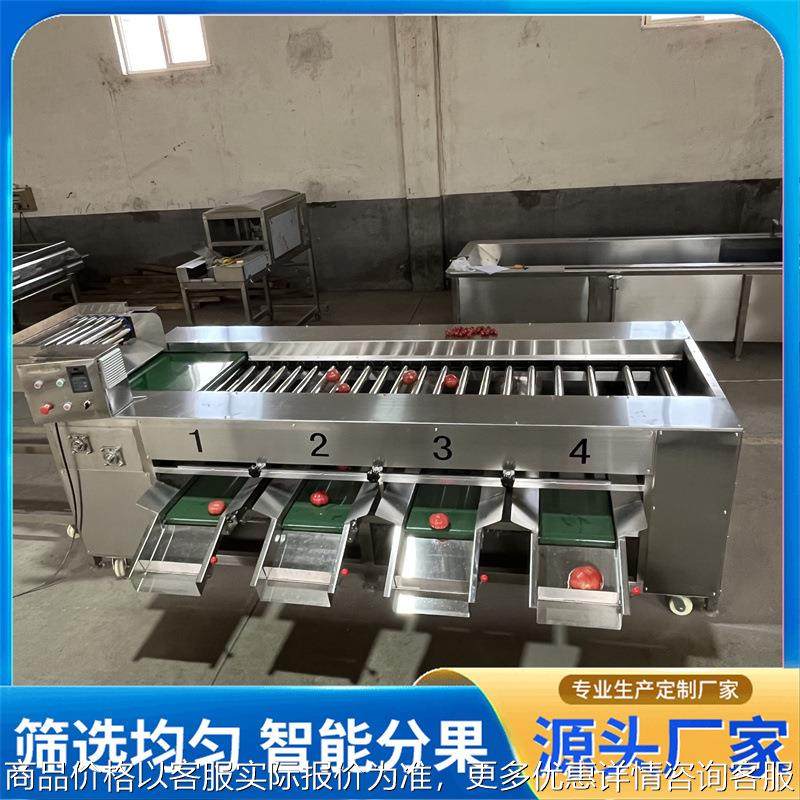 滚杠分选机选果机 球茎类果蔬分选机 商用滚杠式土豆分级机