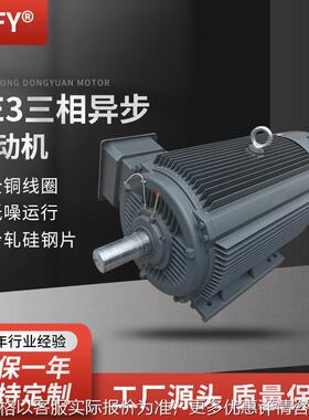 三相异步电动机 YE3-355L1/L2-6极 380V 220W/250千瓦机械用电机