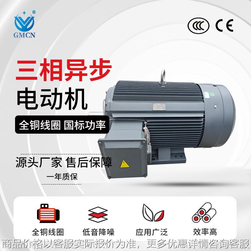 交流电动机 YE3-315S/M/L1/L2-2电机 110/132/160/200W 380V马达