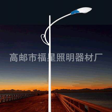 厂家批量销售照明路灯单臂双臂路灯杆道路亮化LED路灯10米路灯