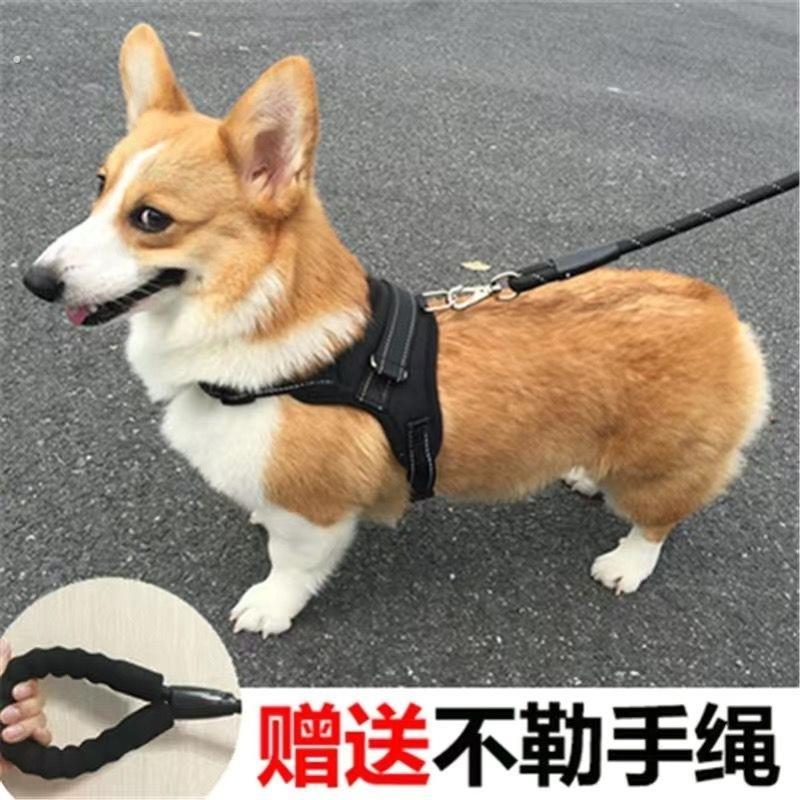 新款狗狗牵引绳胸背带背心式宠物遛狗绳中小型柯基柴犬法斗脖圈