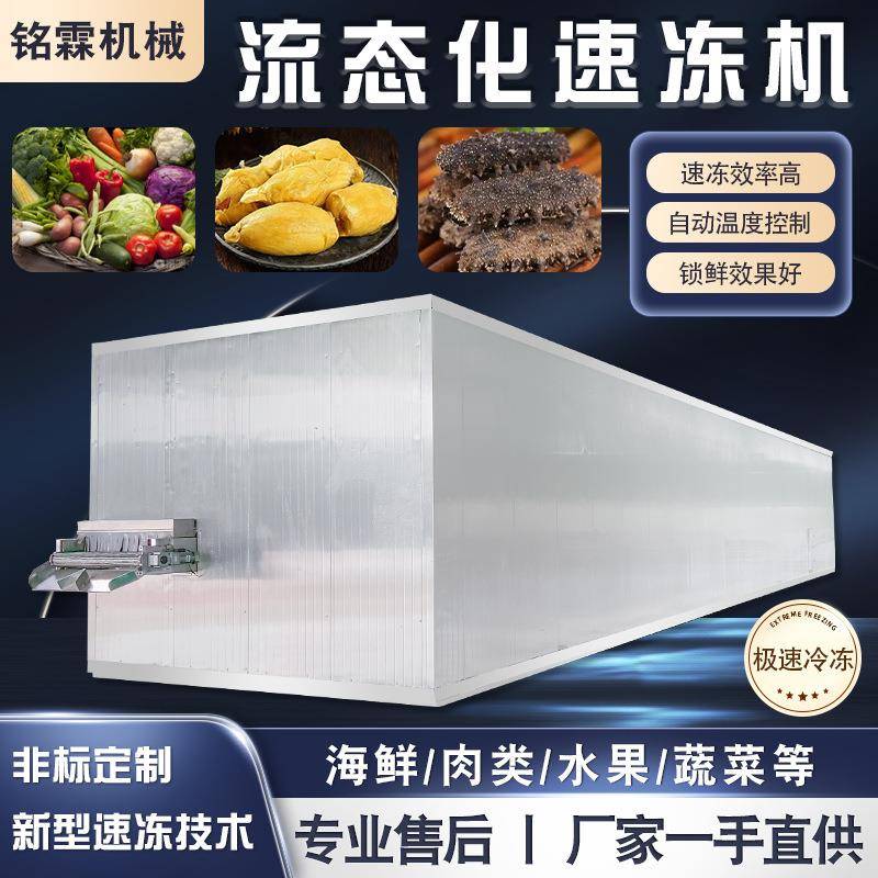 全自动芦笋流态化速冻机大型榴莲果肉速冻设备即食海参速冻机