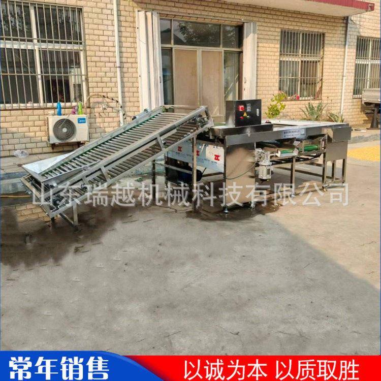 大枣李子分级筛选机工业萝卜滚杠式筛选机商用山楂百香果分级机