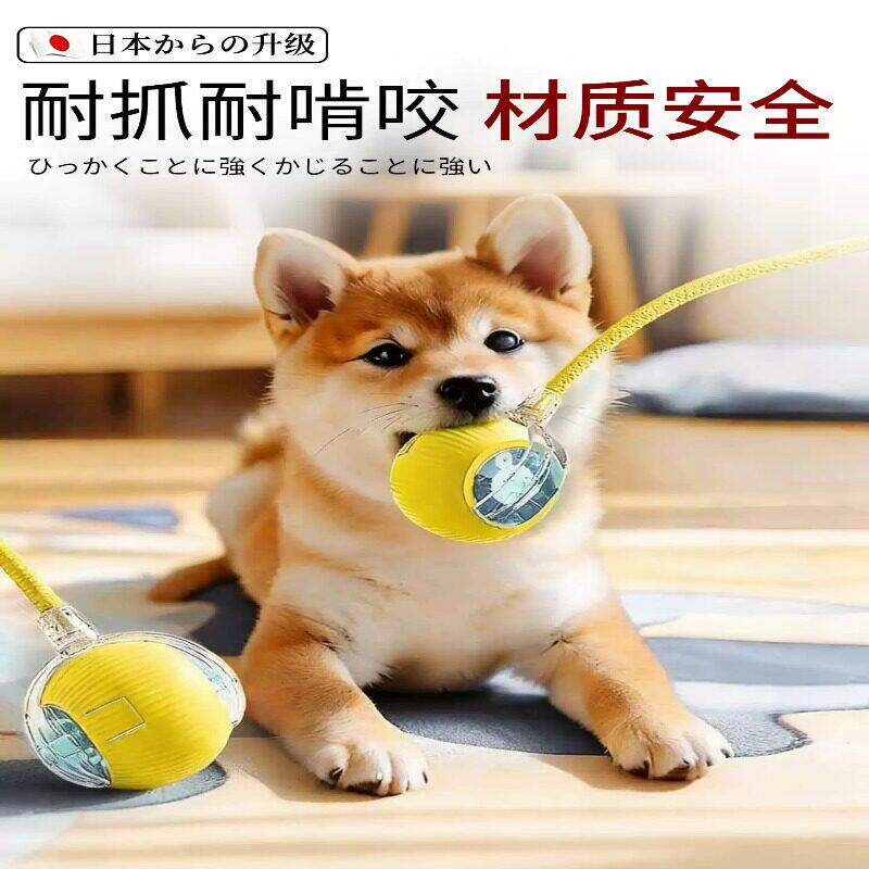 【自动遛狗球】狗狗玩具宠物小狗自嗨耐咬电动智能逗狗跳跳球神器