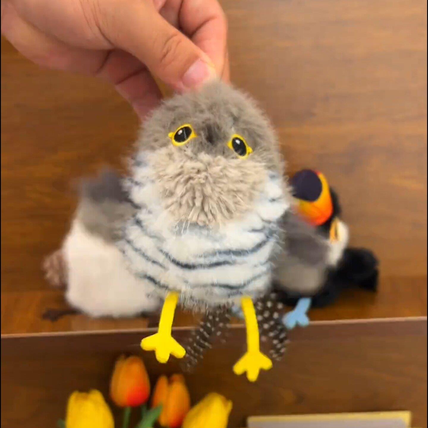 猫咪玩具会飞的小鸟会叫仿真扑腾小肥啾自动逗猫棒小猫爱玩的神器