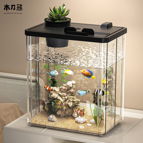 桌面小鱼缸造景生态缸水培饲养箱