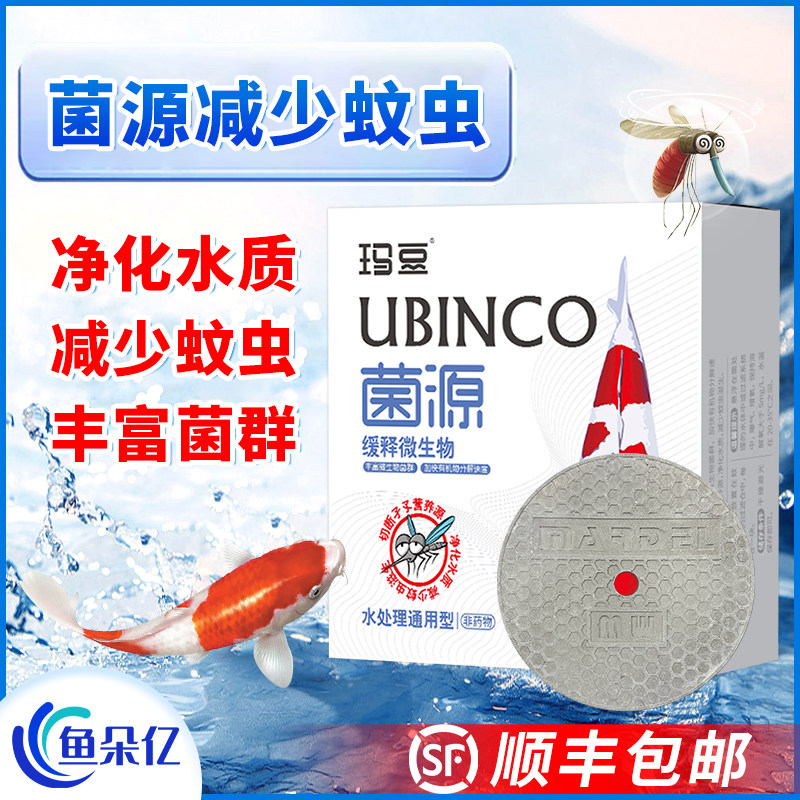 菌源鱼缸庭院锦鲤鱼池蚊子多需要灭蚊切断幼虫孑孓水体营养源
