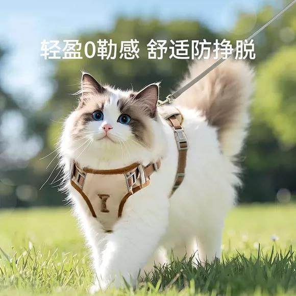 猫咪牵引绳遛猫绳防挣脱不勒脖外出可调节工字型胸背带溜小猫,宠物/宠物食品及用品,猫牵引绳,淘宝优惠券,粉丝福利购,淘宝优惠卷